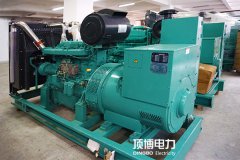 我公司成功签订广西世纪永泰建设投资集团400KW里卡多发电机组一台