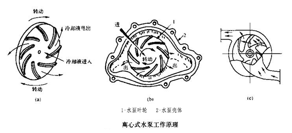离心式水泵工作原理.jpg